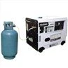 7kw gasgenerator met laag geluidsniveau voor camping thuis Back-up aardgas LPG LNG CNG gasgeneratorset